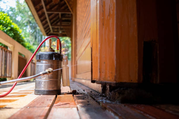 Pest Control Cost in South Hill, VA
