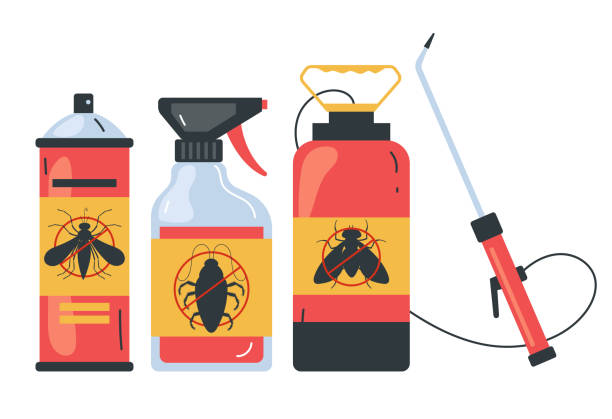 Best Pest Control for Homes  in South Hill, VA