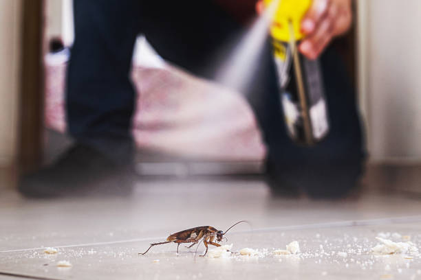 Best Exterminator Services  in South Hill, VA